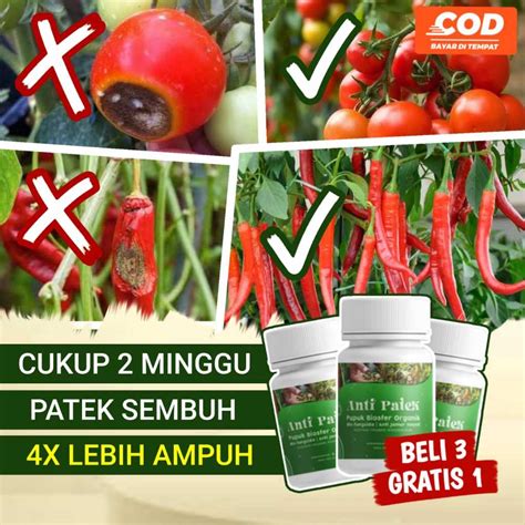 Jual Alfagreen Pupuk Obat Patek Gratis Pencegah Layu Tanaman Obat