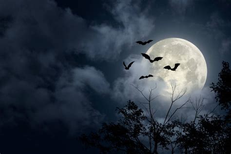 Creepy Moon Stock Photos, Pictures & Royalty-Free Images - iStock