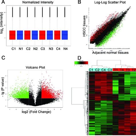 Different Expression Profiles Of Circrnas In Hscc Tissues Versus