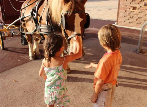 Balades en calèche avec les Attelages de la Dombes Auvergne Rhône