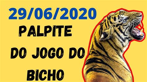 Palpite Jogo Do Bicho Youtube