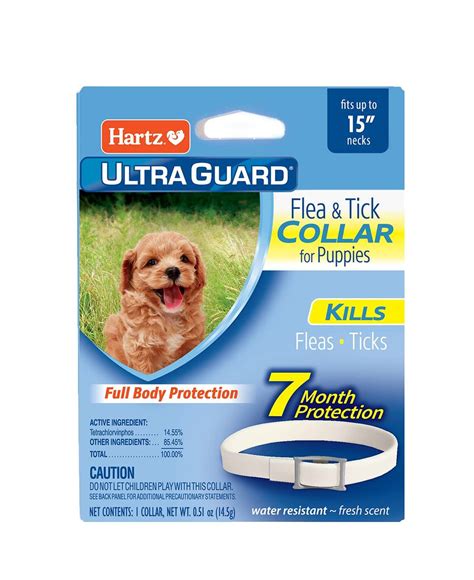 The Ultimate Guide To The Top Flea Collars For Dogs In 2023: Safeguard Your Beloved Pooch From ...