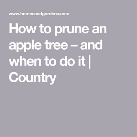 How To Prune An Apple Tree And When To Do It Country Apple Tree