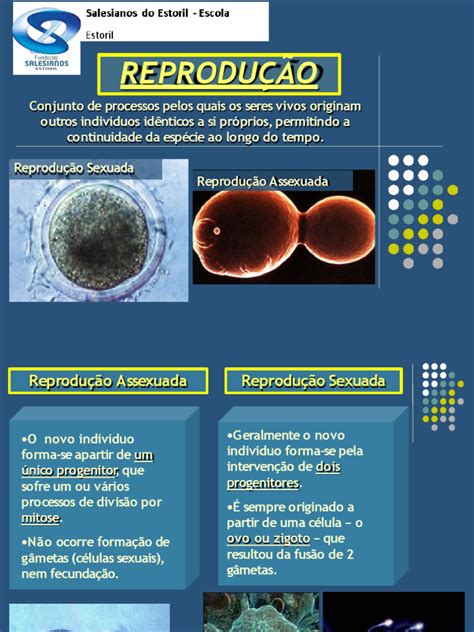 Reprodução Sexuada Pdf Meiose Reprodução