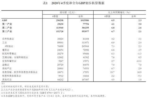 国家统计局公布2020年四季度和全年gdp初步核算结果国民经济新浪财经新浪网