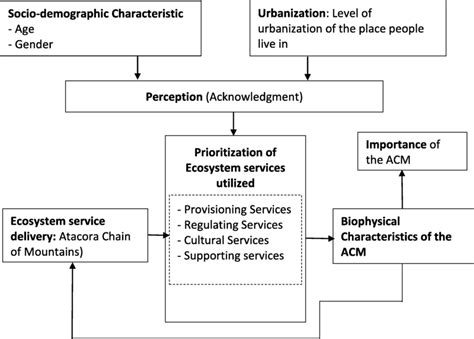 Conceptual Framework On The Link Between Socio Demographic Factors