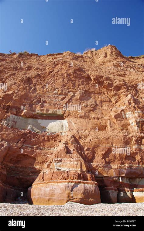 Red Sea Cliffs Of Triassic Helsby Sandstone Formation At Sidmouth Along The Jurassic Coast