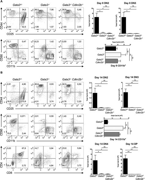 Gata Is Required For T Lymphopoiesis And Inhibits Myeloid Fate In