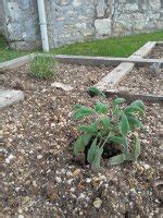 Préservons la biodiversité au lycée Lycée des Métiers du Bâtiment