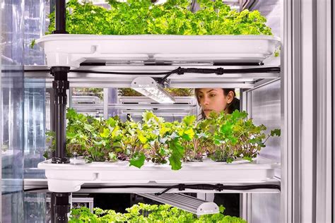 Vertical farming Das Ernährungssystem der Zukunft LGT