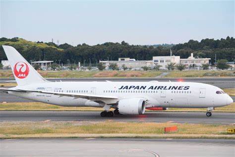 Jal、東京羽田・東京成田～香港線を増便 12月1日から1日1往復 Mixiニュース