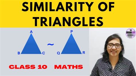 Similarity Of Triangles CBSE Class 10 ICSE Class 10 YouTube