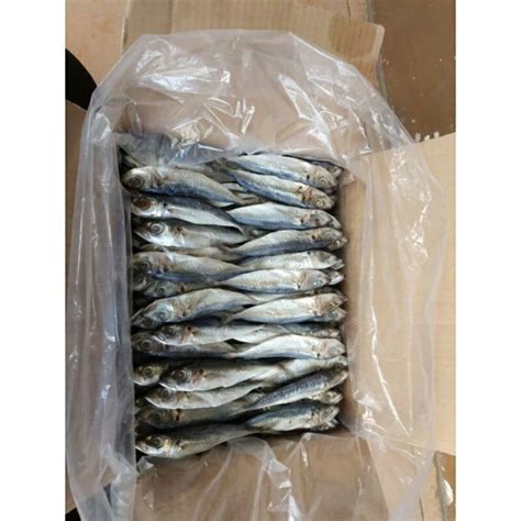 Jual Ikan Asin Peda Klotok Layang 500g Shopee Indonesia