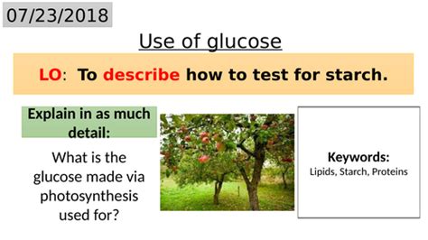 B8.3 How plants use glucose | Teaching Resources