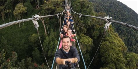 Canopy Walk In Nyungwe National Park