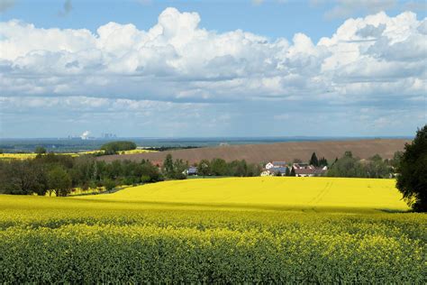 Meschwitz Vom Maxener Weg Mai Reinhard Von Biedenfeld Flickr