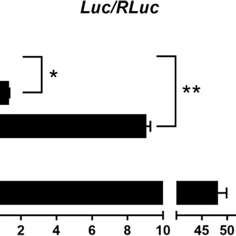 Promoter Activity Tests Using Dual Luciferase Reporter System Download Scientific Diagram