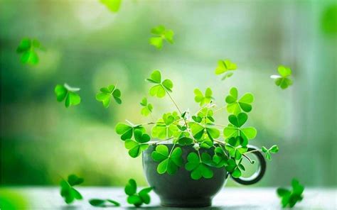 Lucky Desktop Wallpapers Top Free Lucky Desktop Backgrounds