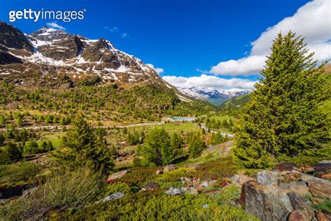 Snowcapped Mountains Valley In Stelvio National Park Forni Santa