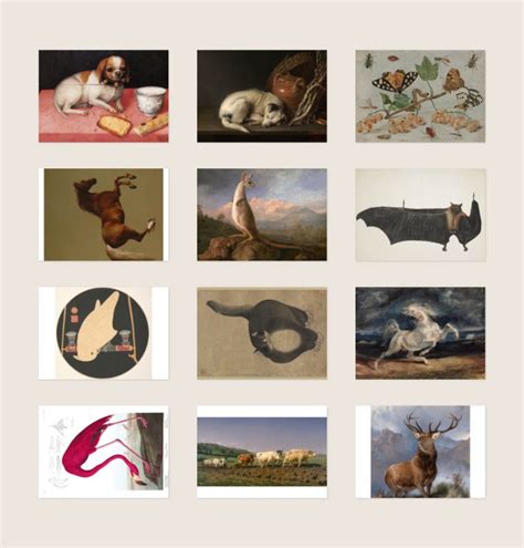 Animals 50 Postcards Set - DailyArt Shop