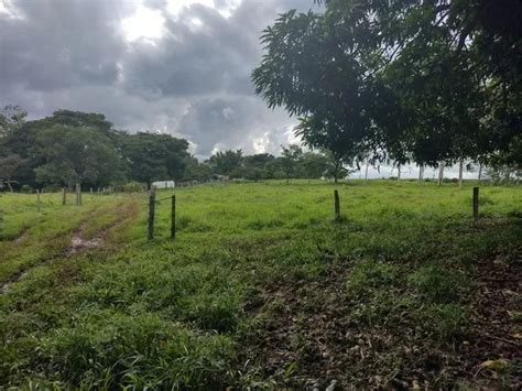 Excelente Chácara de 12 Hectares no Núcleo Rural de Tabatinga a 37Km