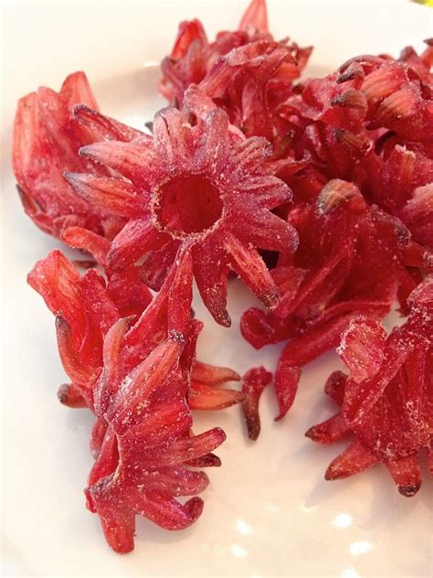 Dried Hibiscus Flowers Snack Recipe