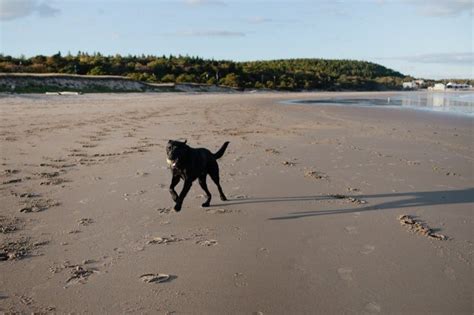Fall Picnic At Popham Beach Map And Menu