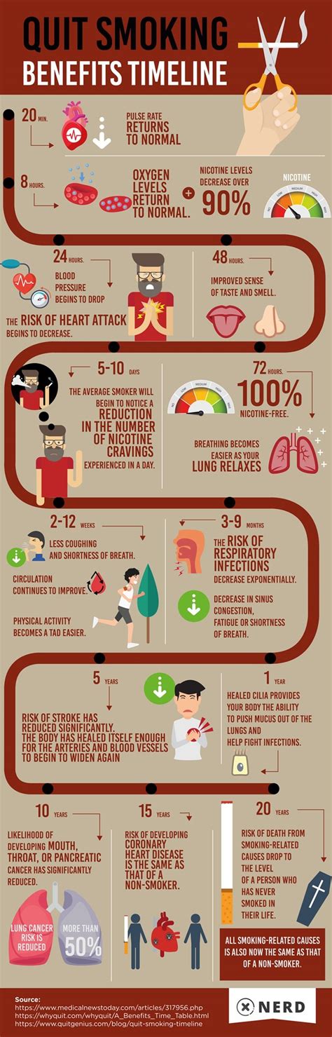 Quit Smoking And Its Benefit Timeline Infographic Infographics