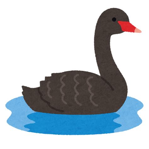 コクチョウのイラスト かわいいフリー素材集 いらすとや