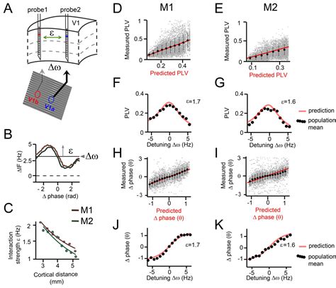 A Quantitative Theory Of Gamma Synchronization In Macaque V Elife