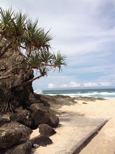 Elephant Rock, Currumbin Beach, Gold Coast | Coast australia, Gold ...