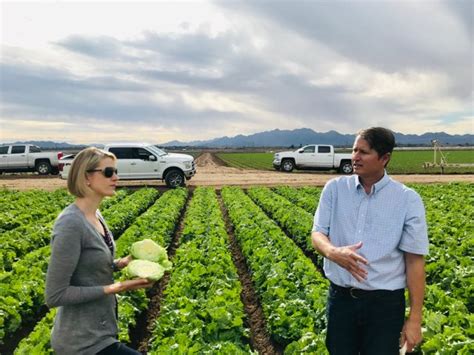 Farming In The Border Town Of Yuma Arizona Office Of Advocacy