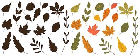 Premium Vector Set Of Autumn Leaves In Doodle Style Vector