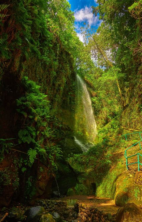 La Fascinante Cascada Del Bosque De Los Tilos