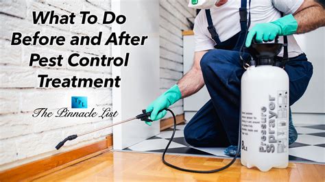 What To Do Before And After Pest Control Treatment The Pinnacle List