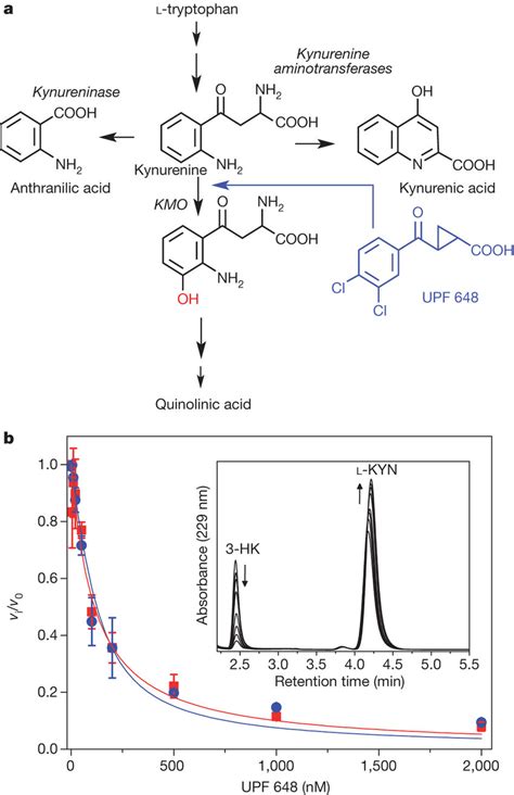 Inhibition Of KMO By UPF 648 A Schematic Overview Of L KYN