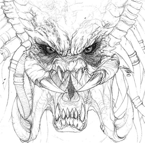 Predator Sketch By Dream Of This On Deviantart