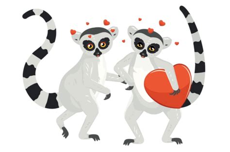 Cute Cartoon Gray Lemur Catta With Big Red Heart Illustration Married