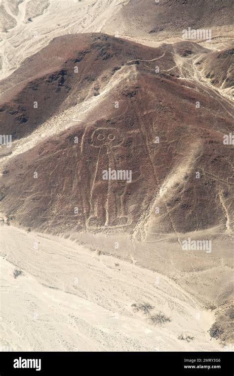 Unesco Heritage Lines And Geoglyphs Of Nazca Peru Astronaut Stock