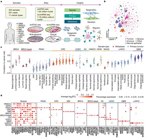 Nature 11种癌症类型的综合多组学图谱揭示癌症转变过程的表观遗传调控 Seqcn