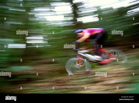 Young Man Mountain Biking Through Woods Model Released Image Stock