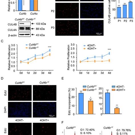 Pdf Crl B Interacts With And Coordinates The Sin A Hdac Complex To