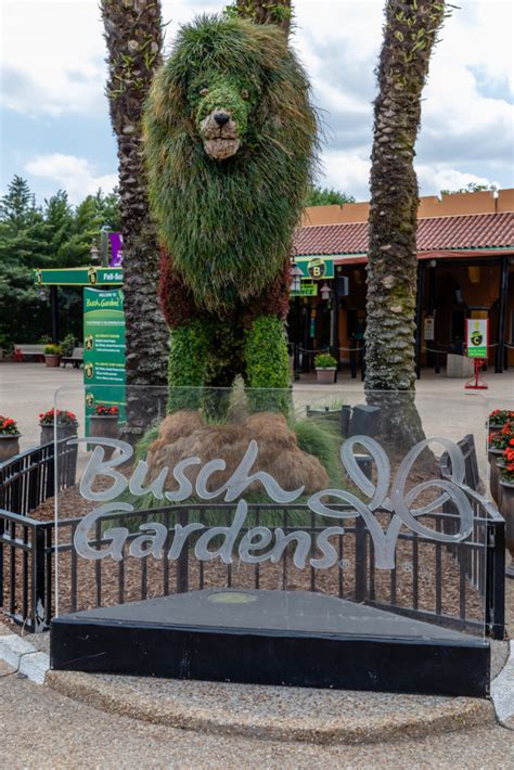 Busch Gardens Tampa Bay | Matthew Paulson Photography