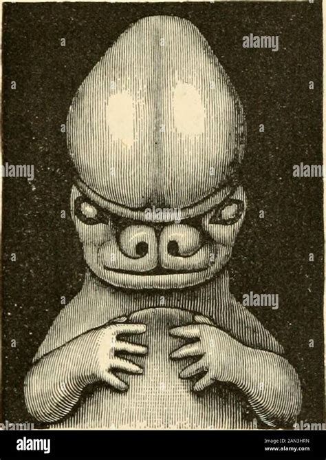Haeckel Embryo Hi Res Stock Photography And Images Alamy