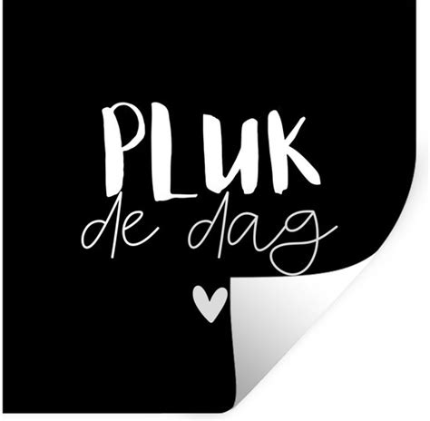 Pluk De Dag Quotes Spreuken Carpe Diem Muursticker