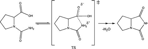 Mechanism for the intramolecular nucleophilic attack from the lone pair ...