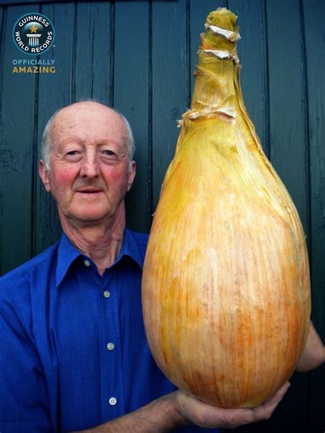 30 The Biggest Fruits And Vegetables Ever Grown