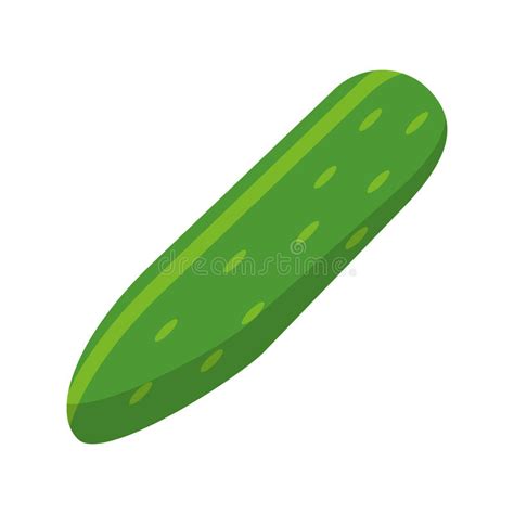 Cucumber Vegetable Healthy Nutrition Icon Stock Vector Illustration