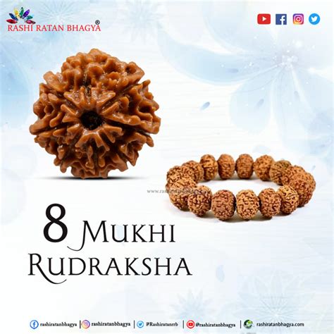 Buy Mukhi Rudraksha Best Price Online At Rashi Ratan Bagya Mukhi