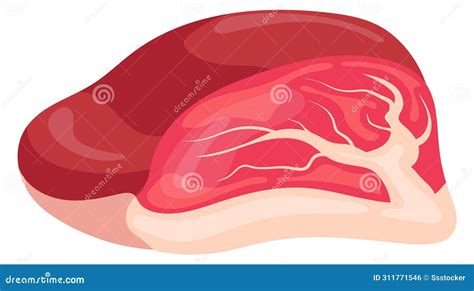 Sirloin Meat Piece Raw Food Butchery Cartoon Icon Stock Vector